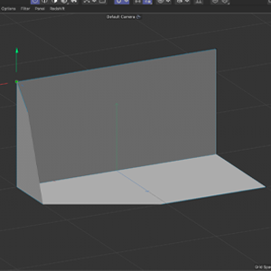 Learning how to use points with the polygon tool.