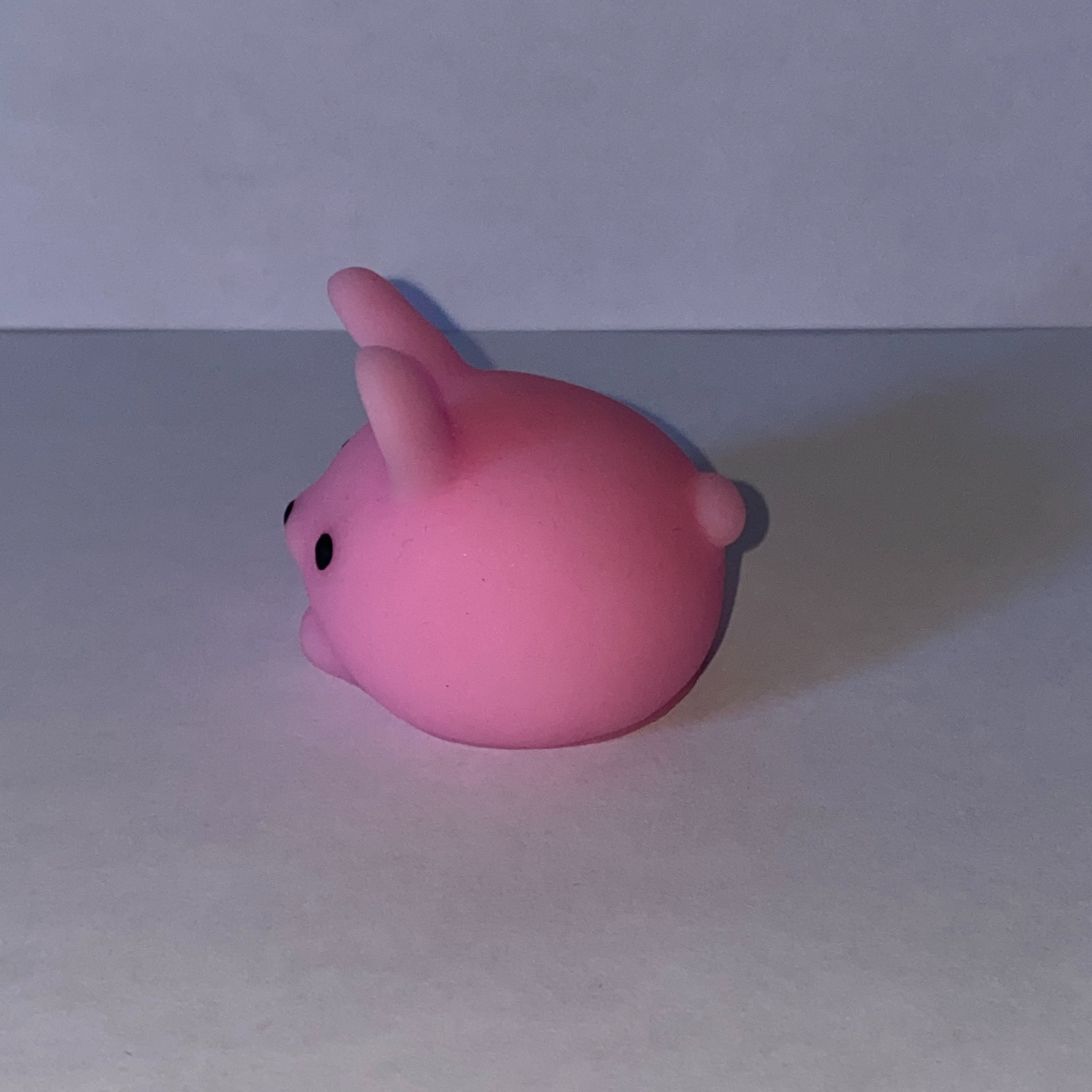 An image of a bunny squishy toy.