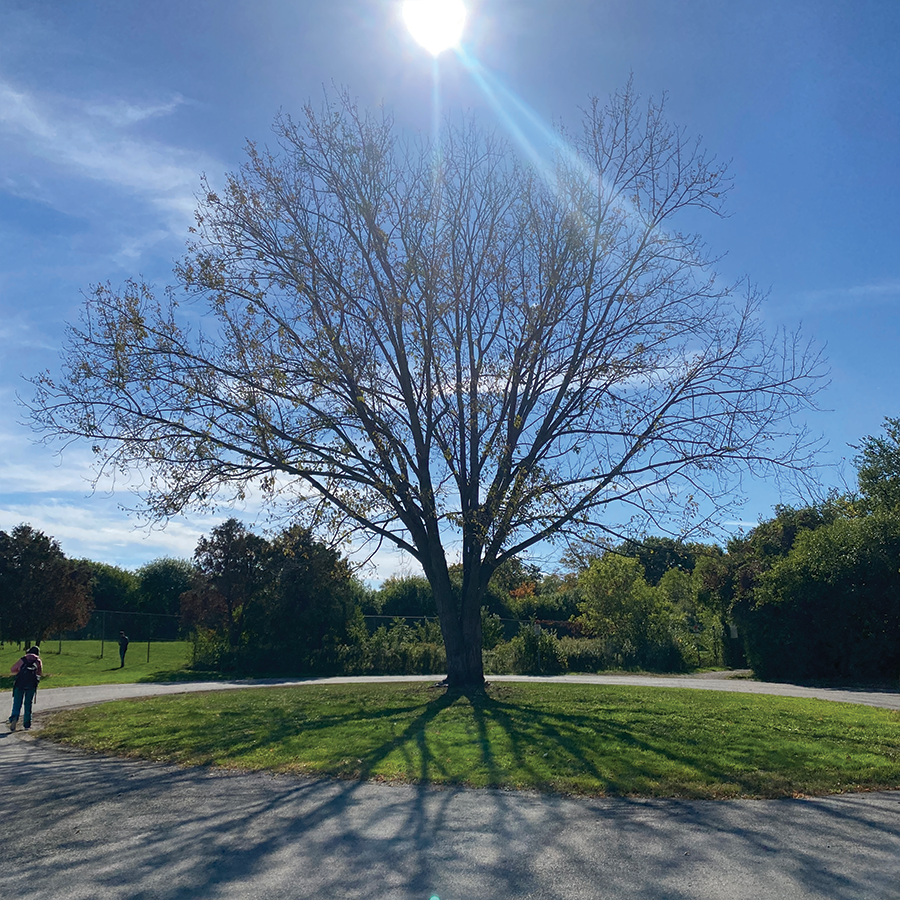 An unused image taken for the first spatial workshop.